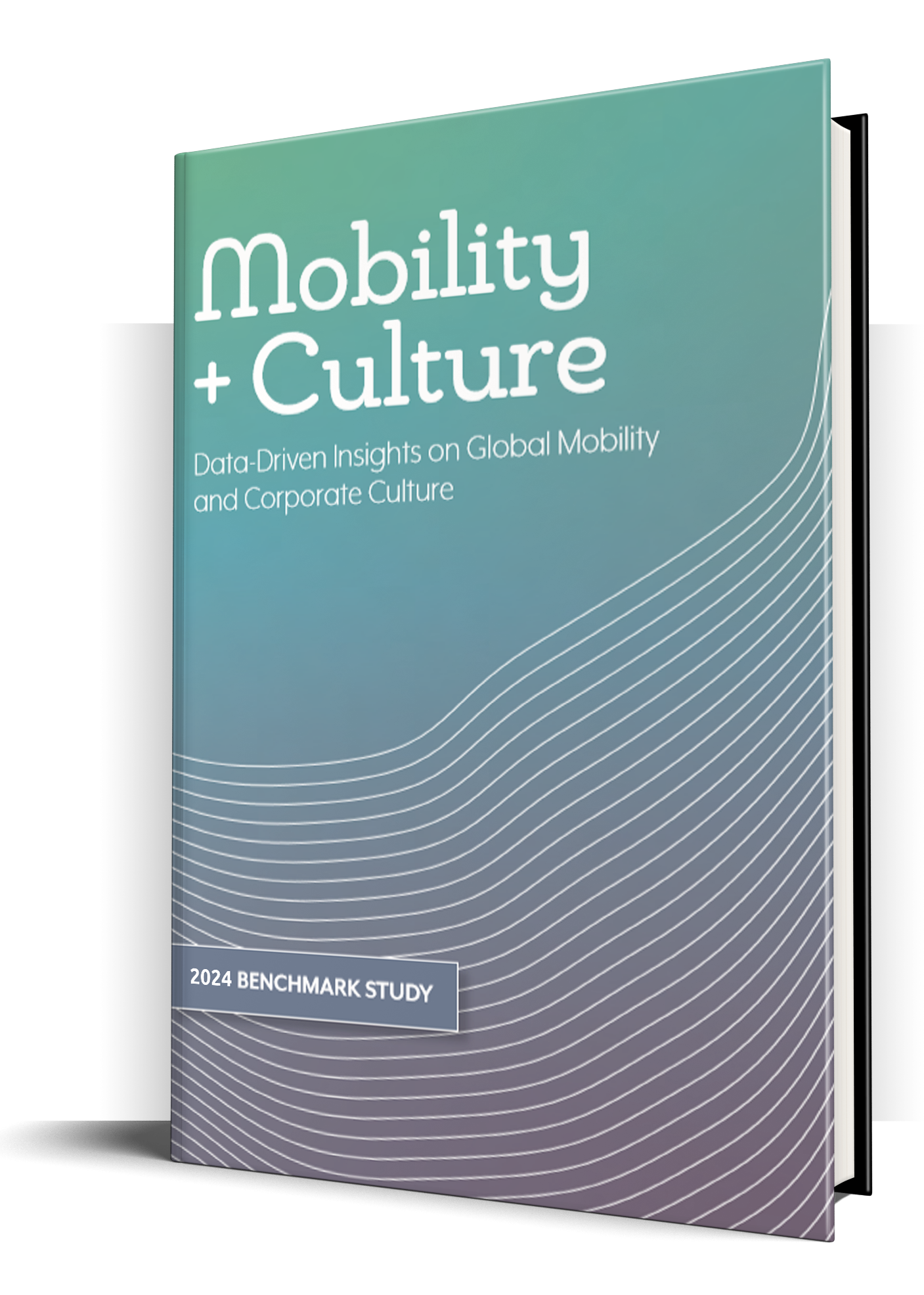 Global Mobility + Culture Benchmark Study