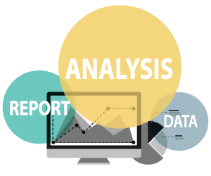 WHR Insights