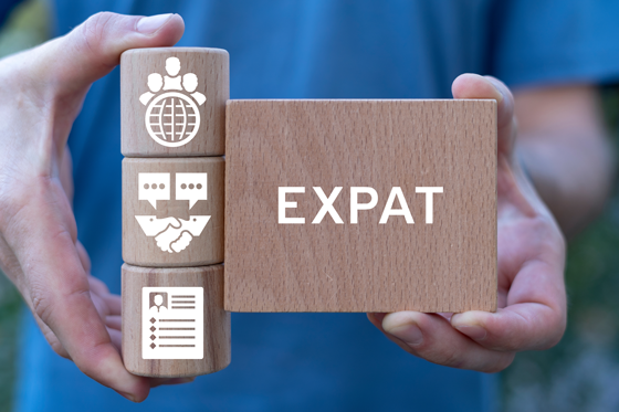 प्रवासी असाइनमेंट